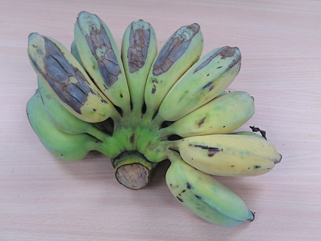 Image for Bananas 8573