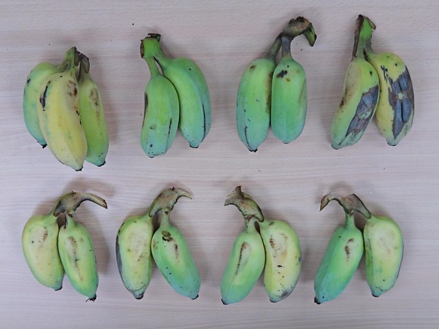 Image for Bananas 8575