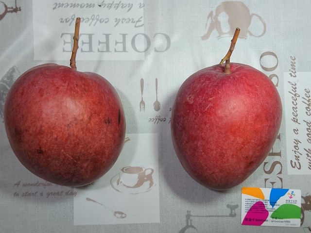 Image for Apple Mango 2