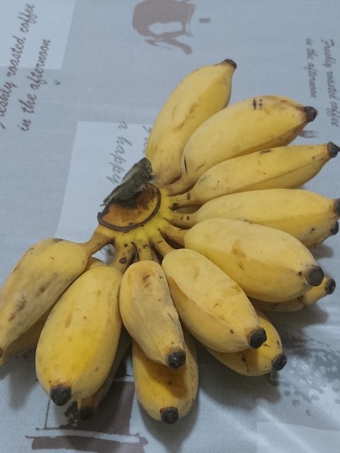 Image for Banana 9534