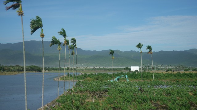 Image for Taitung, 0828
